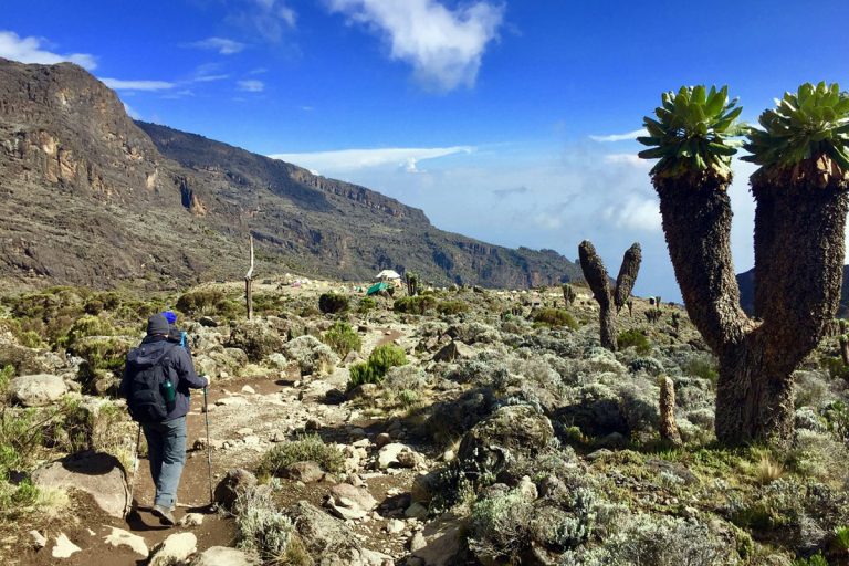 machame-route-2